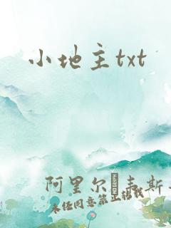 小地主txt