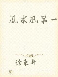 凤求凰第一皇后