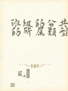 班级的公共小0的所属类型