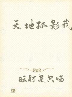 天地孤影我独行