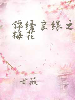锦绣良缘之驿寄梅花