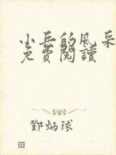 小兵的风采小说免费阅读