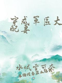 穿成军区大佬女配妻