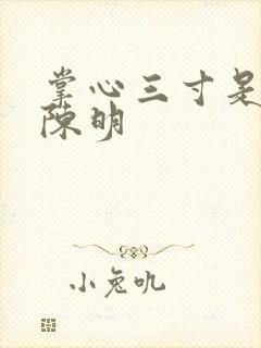 掌心三寸是人间陈明