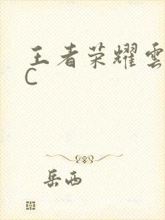 王者荣耀云缨被C