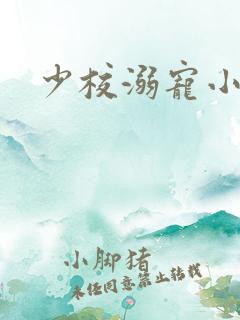 少校溺宠小小妻