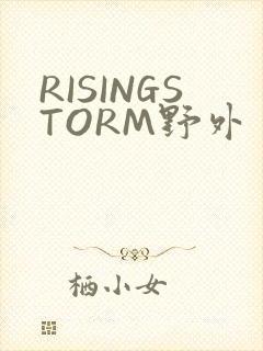 RISINGSTORM野外