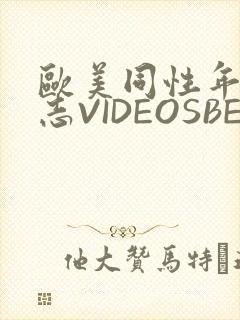 欧美同性年轻同志VIDEOSBEST