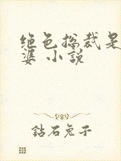 绝色总裁是我老婆 小说