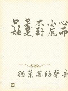 只是不小心发现她是卧底而已