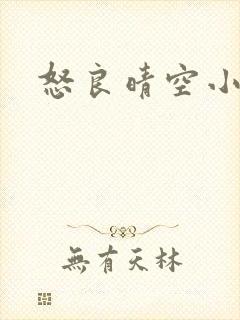 怒良晴空小说