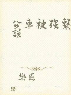 公车被强系列小说