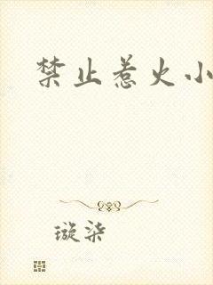 禁止惹火小说