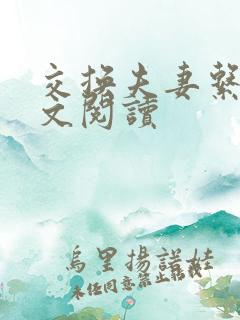 交换夫妻系列全文阅读