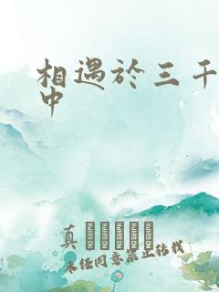 相遇于三千肉文中