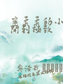 宁柔柔的小泬撑开到极致