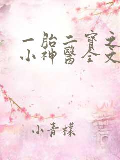 一胎二宝之弃妃小神医全文免费阅读