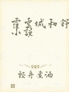 霍云城和舒情的小说