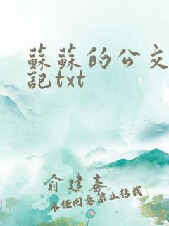 苏苏的公交车日记txt