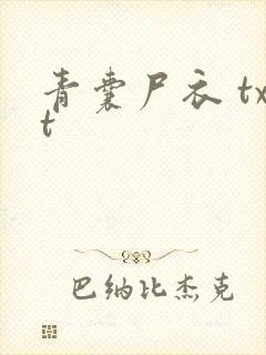青囊尸衣 txt