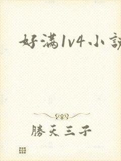 好满1v4小说