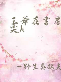 王爷在书房含乳尖h