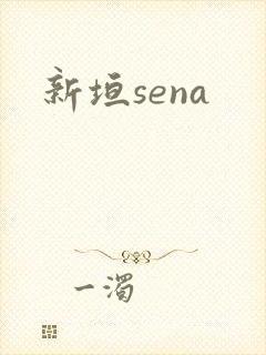 新垣sena