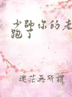 少帅你的老婆又跑了