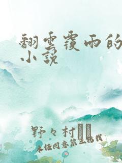 翻云覆雨的秘密小说