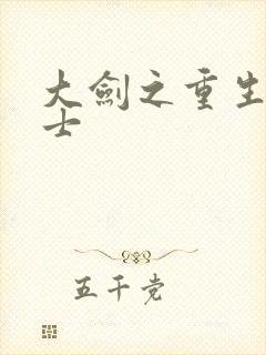 大剑之重生圣骑士