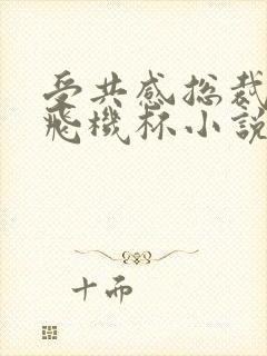 受共感总裁攻的飞机杯小说叫什么