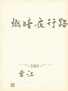 燃暗夜行路