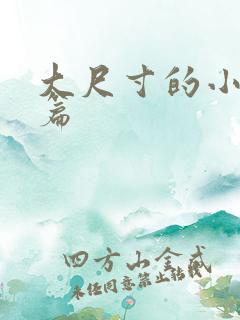 大尺寸的小说短篇