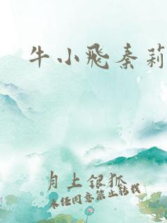 牛小飞秦莉莉