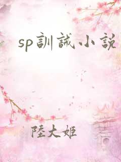 sp训诫小说