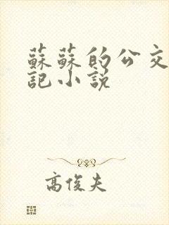 苏苏的公交车日记小说