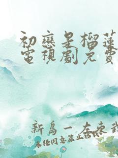 初恋是榴莲先生电视剧免费观看