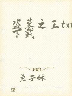 盗墓之王txt下载