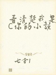 看清楚我是怎么C你的小说