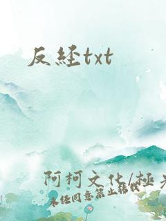 反经txt