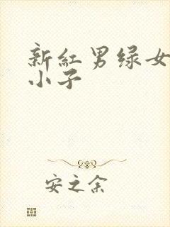 新红男绿女之坏小子