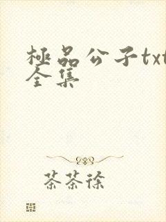 极品公子txt全集