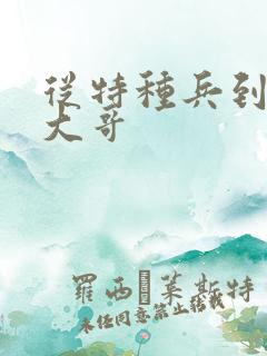 从特种兵到黑道大哥