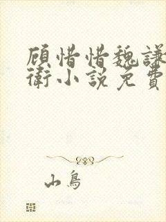 顾惜惜魏谦锦衣卫小说免费阅读