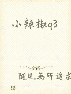 小辣椒q3