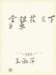 金银花《下厨房》车