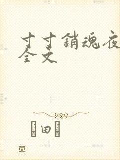 寸寸销魂夜春光全文