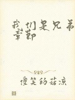 我们是兄弟最新章节