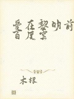 爱在黎明前降落百度云