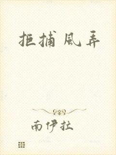 拒捕 风弄